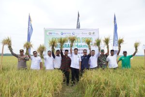 PT PIM Tingkatkan Hasil Pertanian Petani Melalui Program Makmur