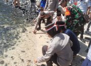 Polsek Bintan Timur Lepasliarkan Puluhan Tukik di Pantai Pulau Sentut