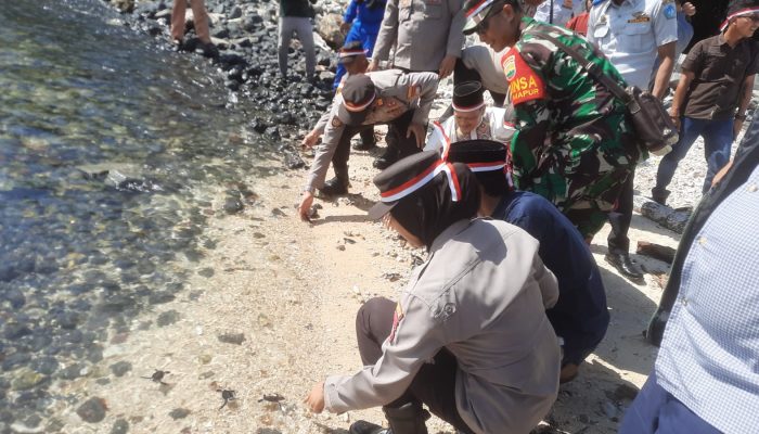 Polsek Bintan Timur Lepasliarkan Puluhan Tukik di Pantai Pulau Sentut