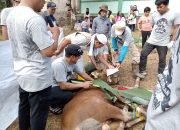Masjid Al Barokah Kampung Bangun Sari Sembelih 12 Hewan Kurban di Hari Raya Idul Adha 1444 H