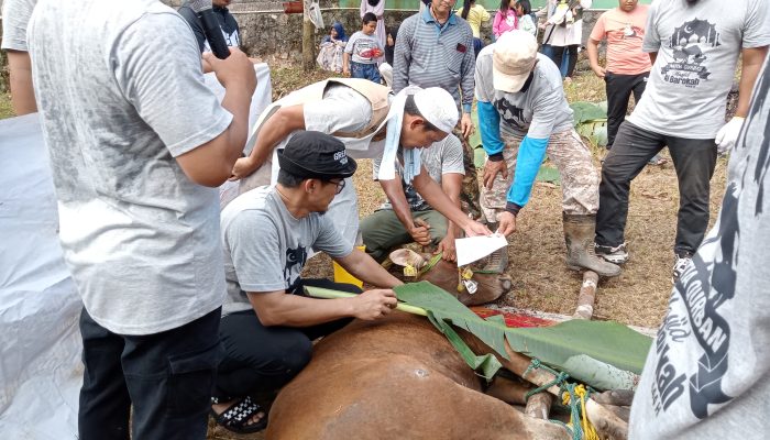 Masjid Al Barokah Kampung Bangun Sari Sembelih 12 Hewan Kurban di Hari Raya Idul Adha 1444 H