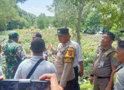 Satpol PP Tanjungpinang Hentikan Penebangan Mangrove di Tanjung Unggat