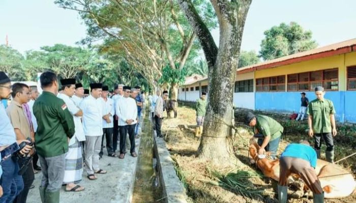 Selesai Sholat Idul Adha, Pemkab Batu Bara Sembelih 40 Ekor Hewan Kurban
