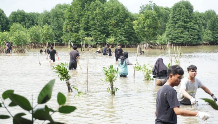 HMTI Unrika dan Turbion Tanam 1000 Mangrove di Tanjung Piayu