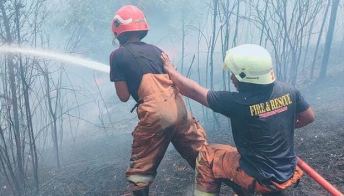 Damkar Tanjungpinang Padamkan Api di Lahan Warga