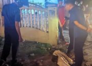DPKP Tanjungpinang Kembali Evakuasi Ular di Jalan Kamboja