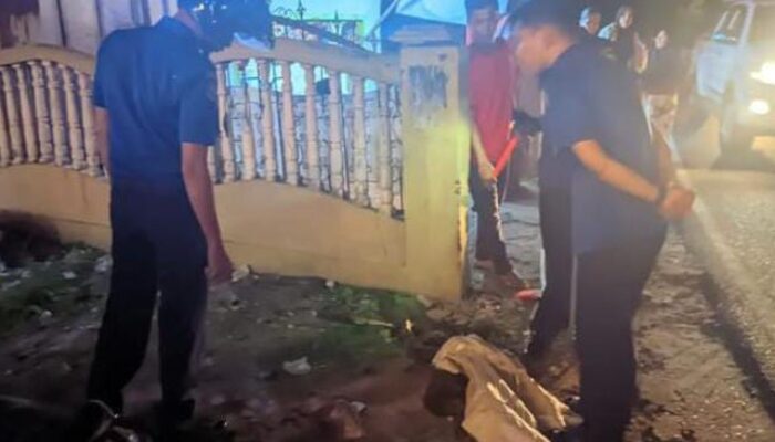 DPKP Tanjungpinang Kembali Evakuasi Ular di Jalan Kamboja