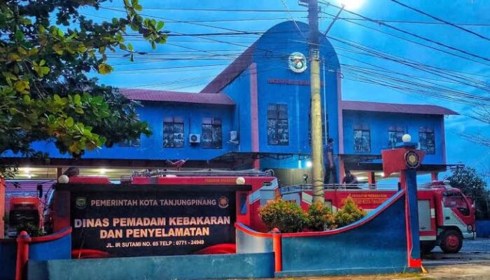 Musim Hujan, Dinas Damkar Tanjungpinang Imbau Warga Waspada Sarang Tawon dan Ular