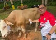 Kapolda Kepri Qurban 34 Ekor Sapi Untuk Masyarakat Batam