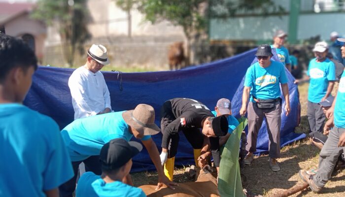 Masjid Al Barokah Adakan Penyembelihan Hewan Qurban Secara Khidmat
