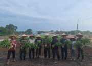 Panen Perdana Kebun Sayur dan Penaburan Bibit Ikan Nila: Upaya Ketahanan Pangan Korem 033/WP