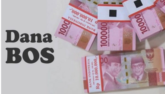 Oknum Honor salah satu SDN di Tanjungpinang diduga Tilep Dana Bos Sebesar 400 Juta.