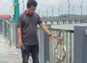 Terendus dugaan Kongkalikong Proyek di BPPW Kepri Hingga Aroma Pungli