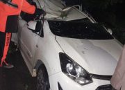 Pohon Tumbang Timpa Mobil Agya Putih di Jalan Adi Sucipto Km 11