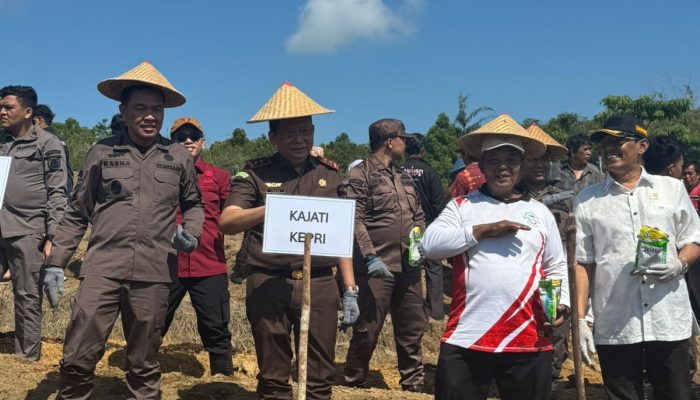 Dukung Ketahanan Pangan, Kejati Kepri dan Kejari Batam Tanam Jagung di Rempang