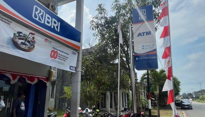 BRI Pastikan Tidak Ada Pungutan Biaya Survey di Unit Daik Lingga