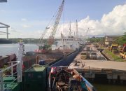 Arus Penumpang dan Barang di Pelabuhan Tanjungpinang Terus Naik, Pelindo Torehkan Capaian Positif