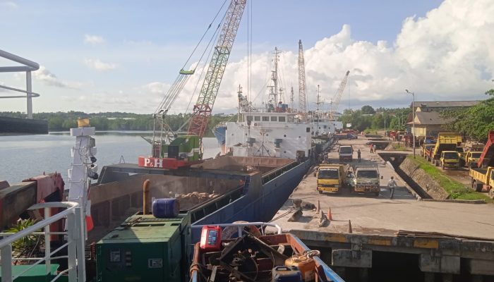 Arus Penumpang dan Barang di Pelabuhan Tanjungpinang Terus Naik, Pelindo Torehkan Capaian Positif