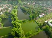 Mengenal Desa Rejoagung, Potensi Desa Meningkat Setelah Program Penataan Akses Reforma Agraria