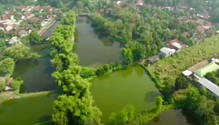 Mengenal Desa Rejoagung, Potensi Desa Meningkat Setelah Program Penataan Akses Reforma Agraria