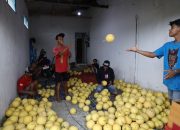 Reforma Agraria Lahirkan Regenerasi dan Kreativitas Petani di Desa Soso 