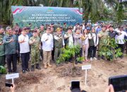 Upaya Kembalikan Fungsi Hutan, Pemerintah Mulai Relokasi Masyarakat dari Taman Nasional Tesso Nilo
