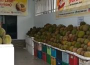 Durian Musang King Diduga Impor Tanpa Kuota dan Dokumen Kepabeanan