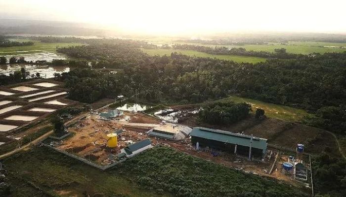 PT IBAS Tegaskan Tak Miliki HGU, Bahan Baku Sawit 100 Persen dari Kebun Masyarakat