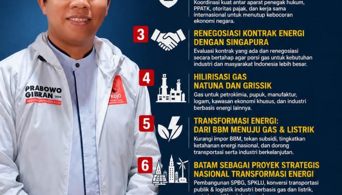 Gas Natuna Terus Mengalir ke Singapura, Projo Kepri Minta Prioritas untuk Industri Dalam Negeri