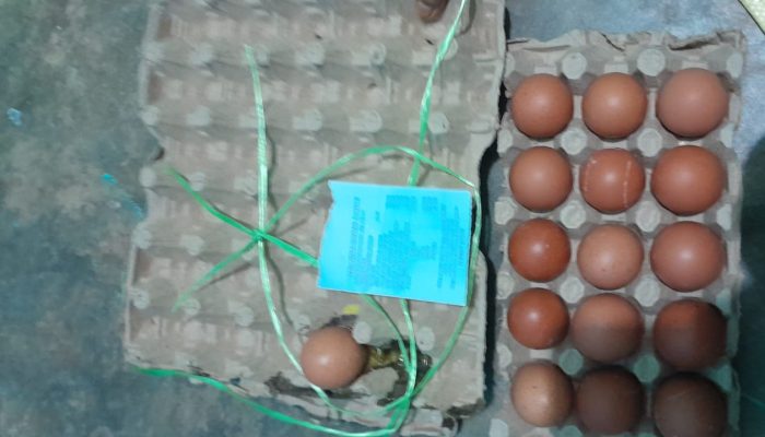 Diduga Jual Telur Busuk, Pembeli Keluhkan Kualitas Telur di Swalayan Mahkota Bintan Center